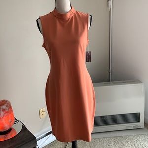 NWT Sharagano NY Sleeveless Mock Neck Dress